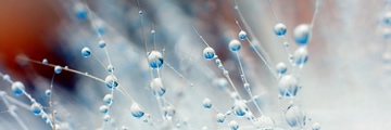 光隆羽絨